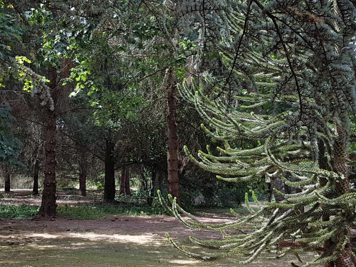 Vouzon Le Clos Des Ecureuils المظهر الخارجي الصورة