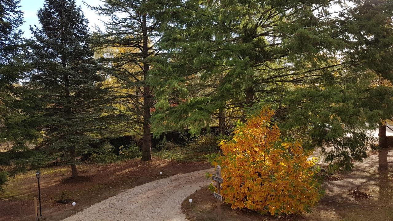 Vouzon Le Clos Des Ecureuils المظهر الخارجي الصورة
