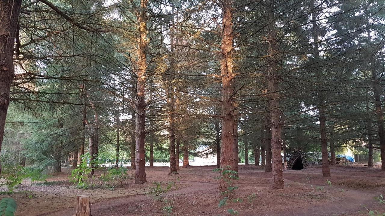 Vouzon Le Clos Des Ecureuils المظهر الخارجي الصورة