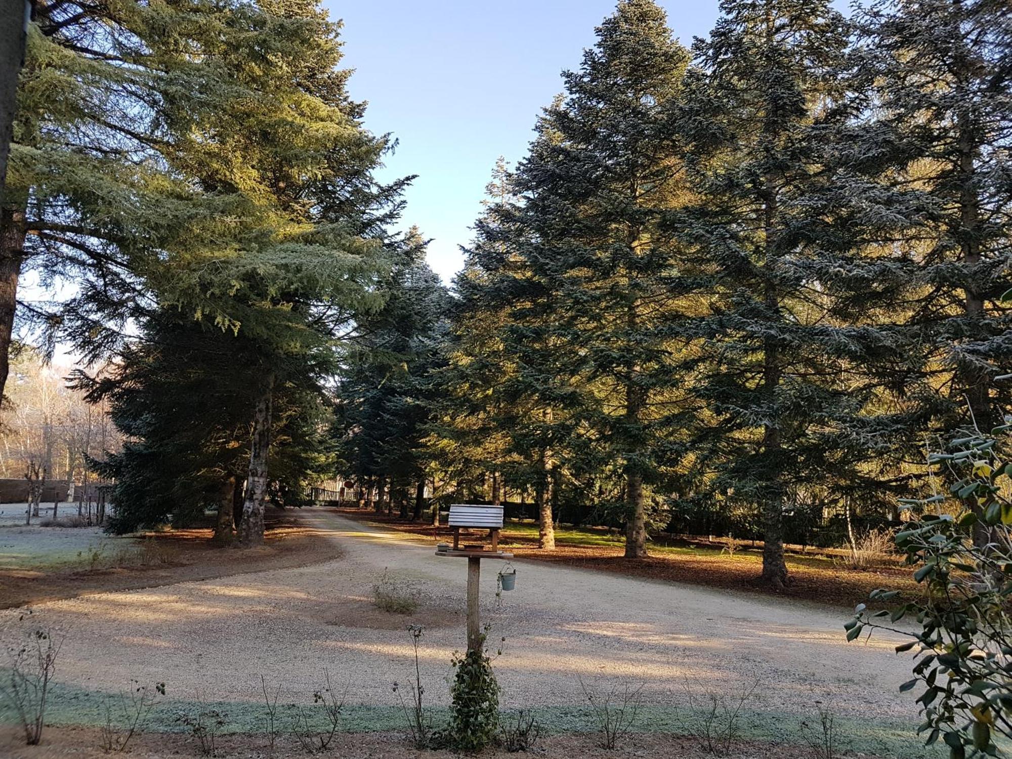 Vouzon Le Clos Des Ecureuils المظهر الخارجي الصورة