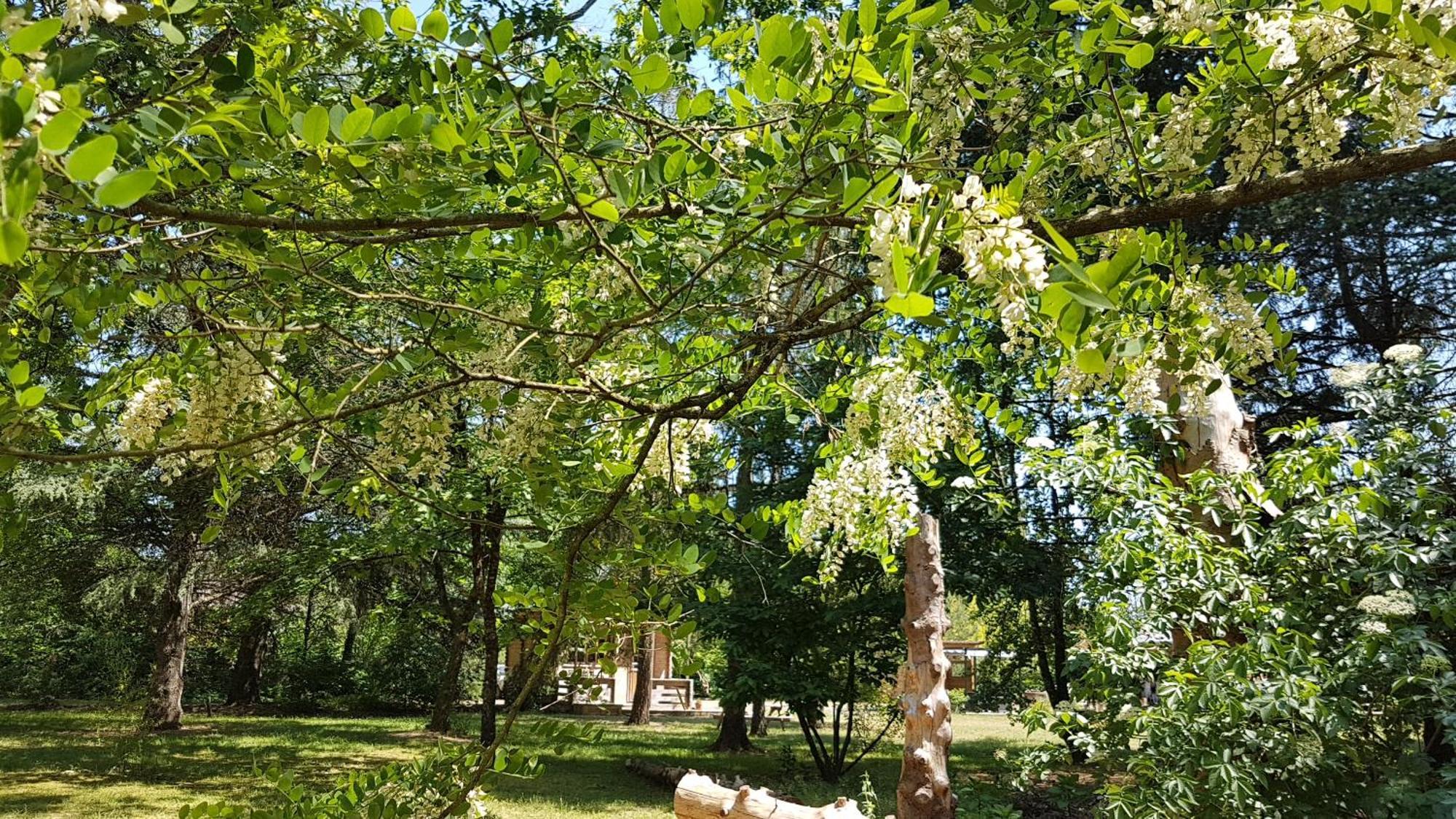 Vouzon Le Clos Des Ecureuils المظهر الخارجي الصورة
