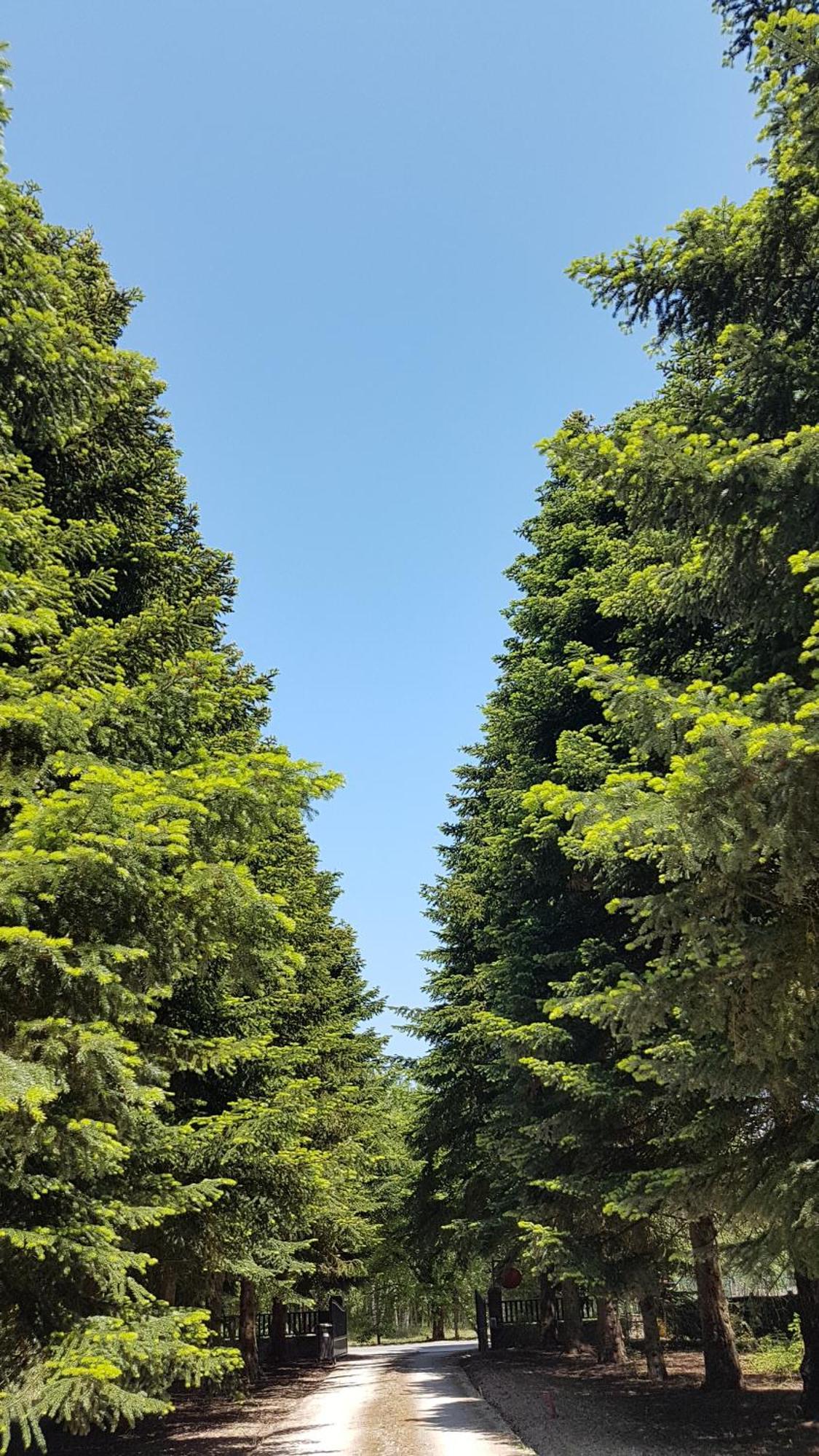Vouzon Le Clos Des Ecureuils المظهر الخارجي الصورة